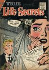 Cover For True Life Secrets 27