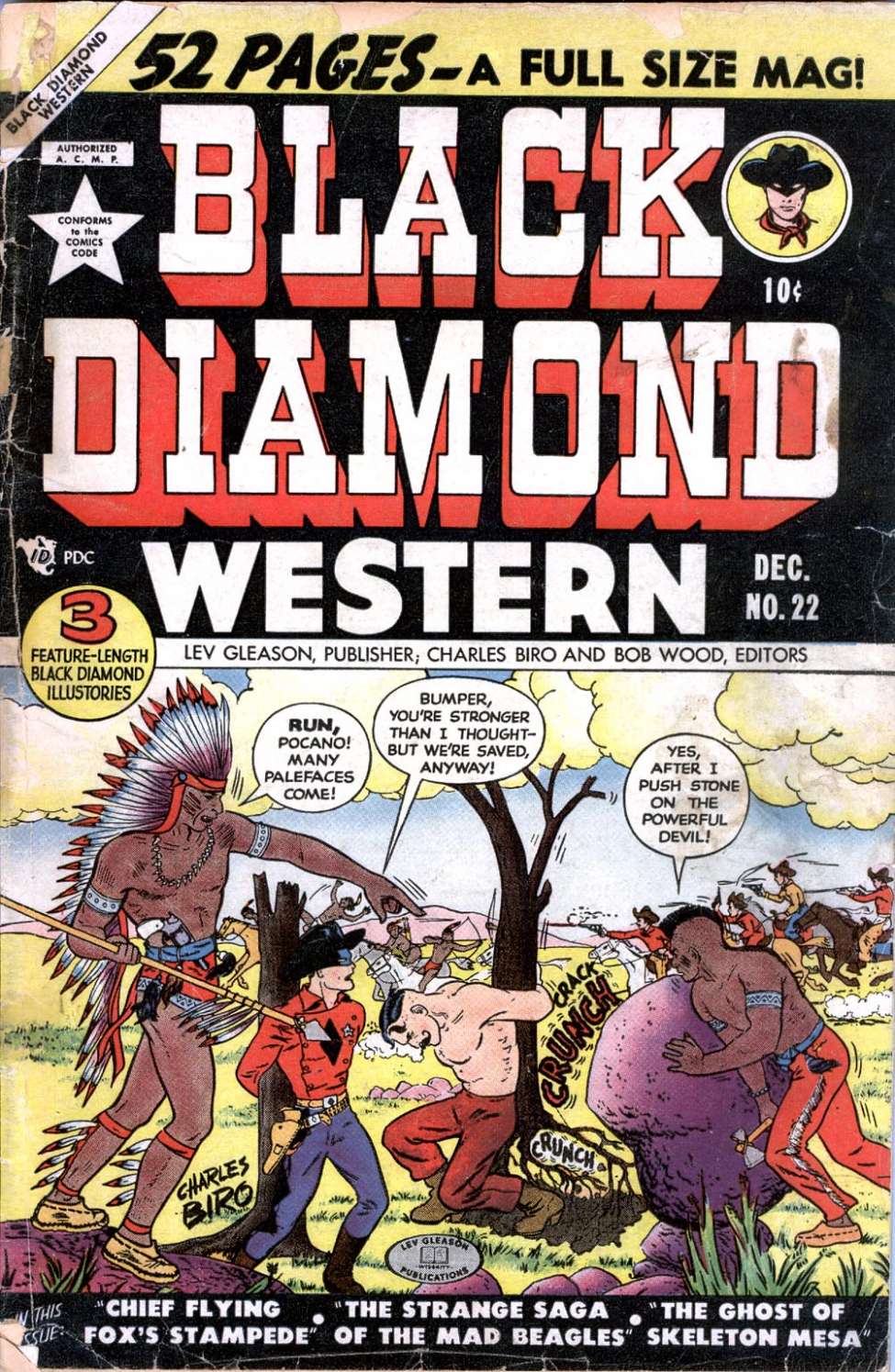 Book Cover For Black Diamond Western 22