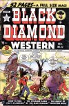 Cover For Black Diamond Western 22