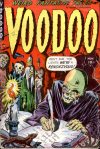 Cover For Voodoo 4