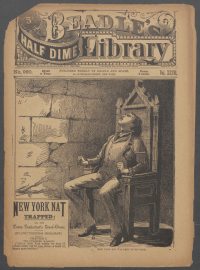 Large Thumbnail For Beadle's Half Dime Library 920 - New York Nat Trapped