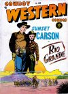 Cover For Cowboy Western 29