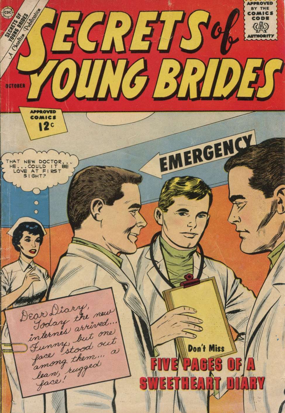 Book Cover For Secrets of Young Brides 33
