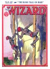 Cover For The Wizard 588