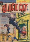 Cover For Black Cat 26