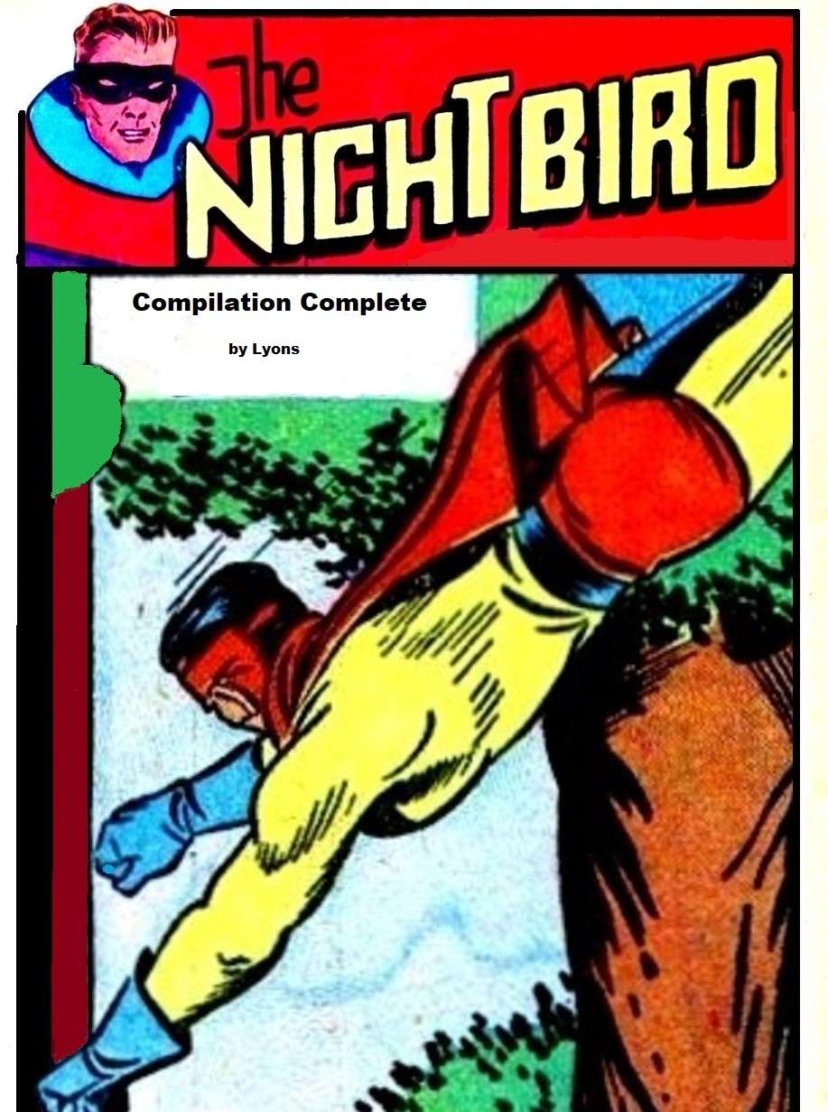 Book Cover For The Night Bird