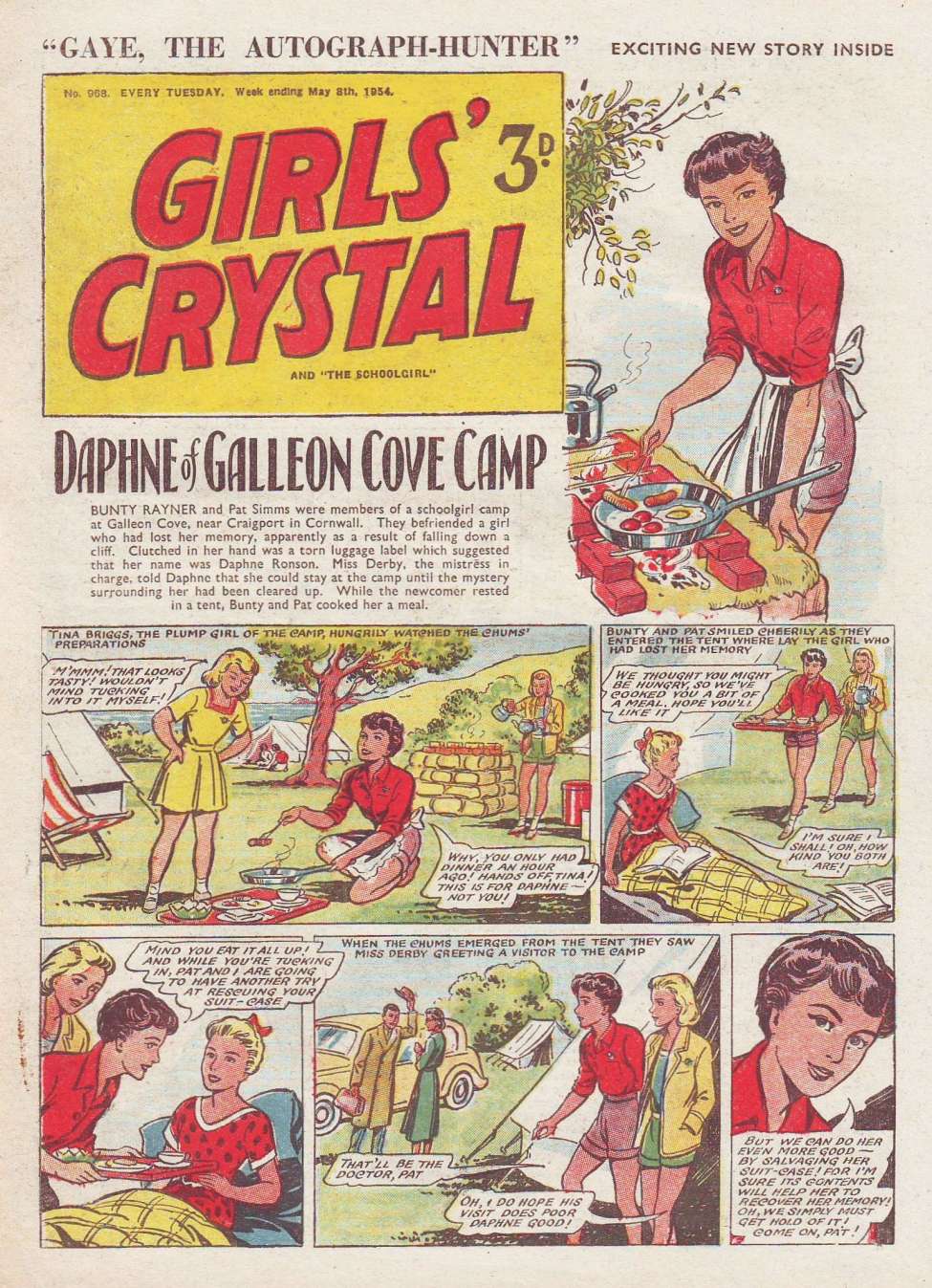 Book Cover For Girls' Crystal 968