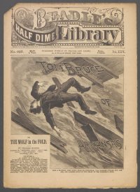 Large Thumbnail For Beadle's Half Dime Library 627 - Tom Bruce of Arkansas