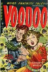Cover For Voodoo 7