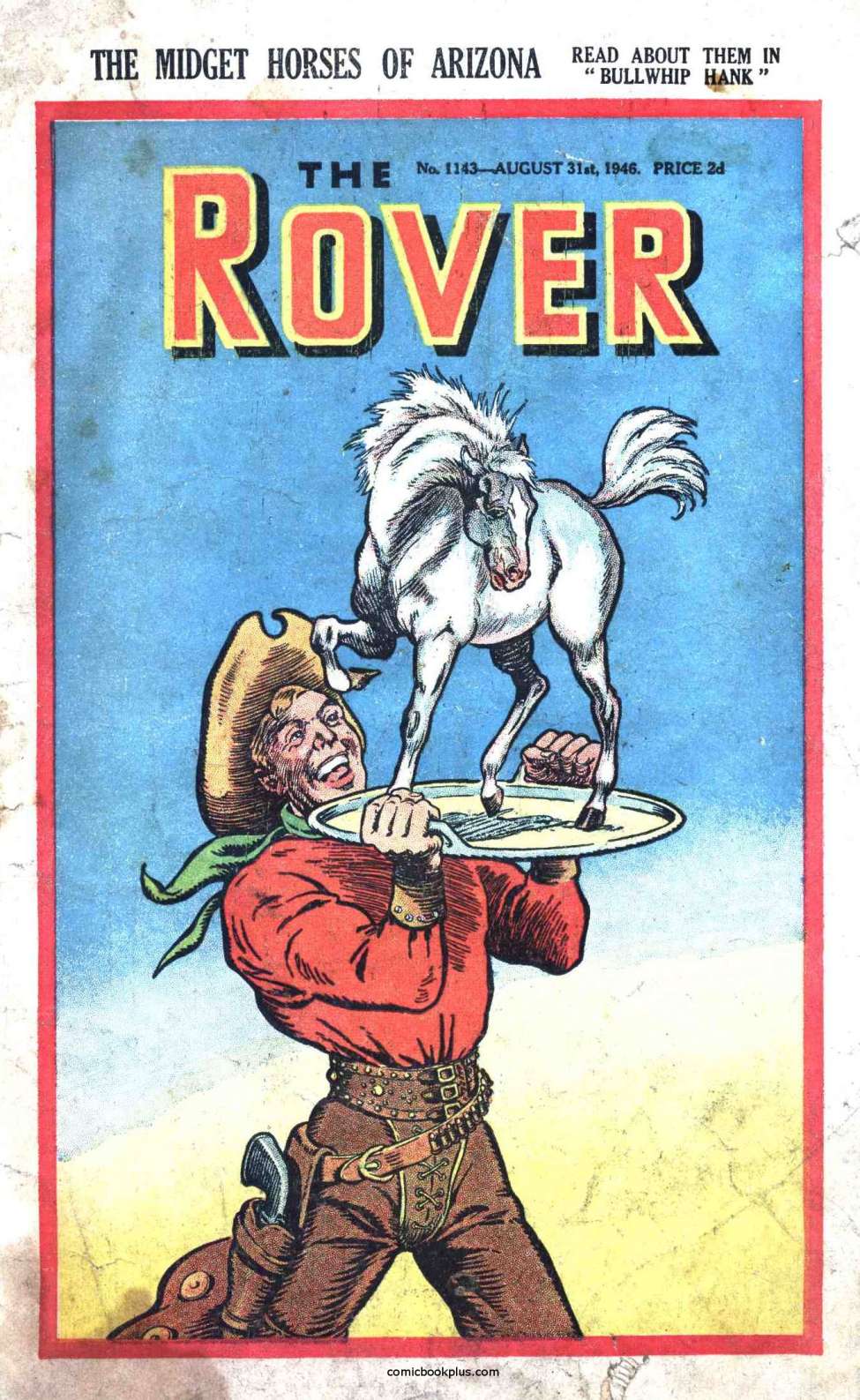 Book Cover For The Rover 1143