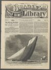 Cover For Beadle's Half Dime Library 7 - The Flying Yankee