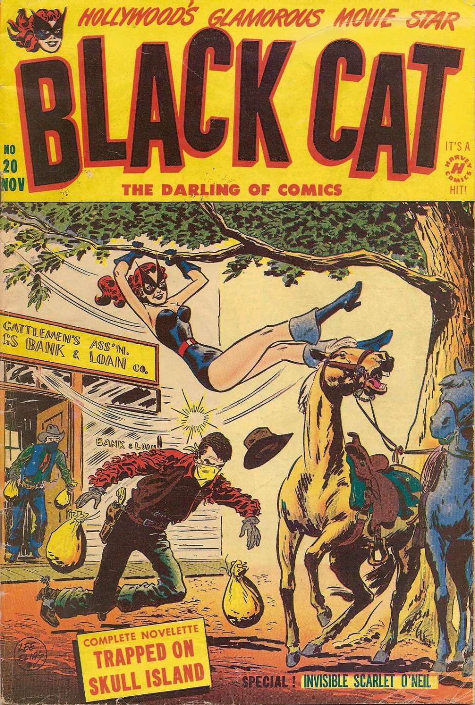 Book Cover For Black Cat 20