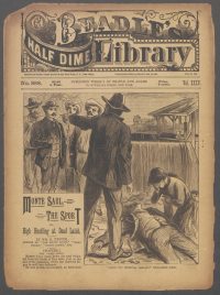 Large Thumbnail For Beadle's Half Dime Library 888 - Monte Saul, the Sport