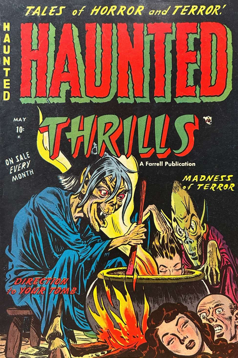 Book Cover For Haunted Thrills 9
