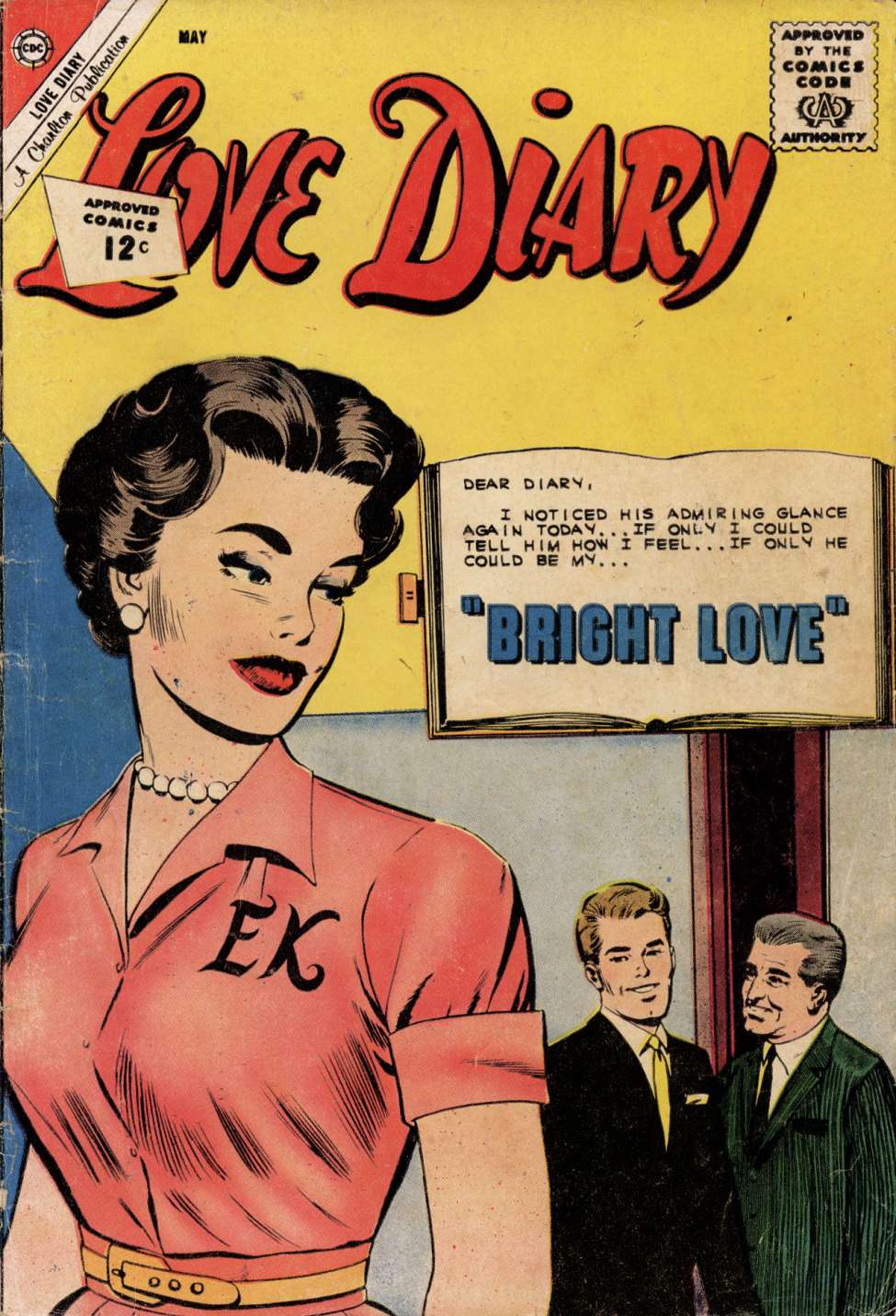 Book Cover For Love Diary 21
