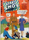 Cover For Big Shot 49