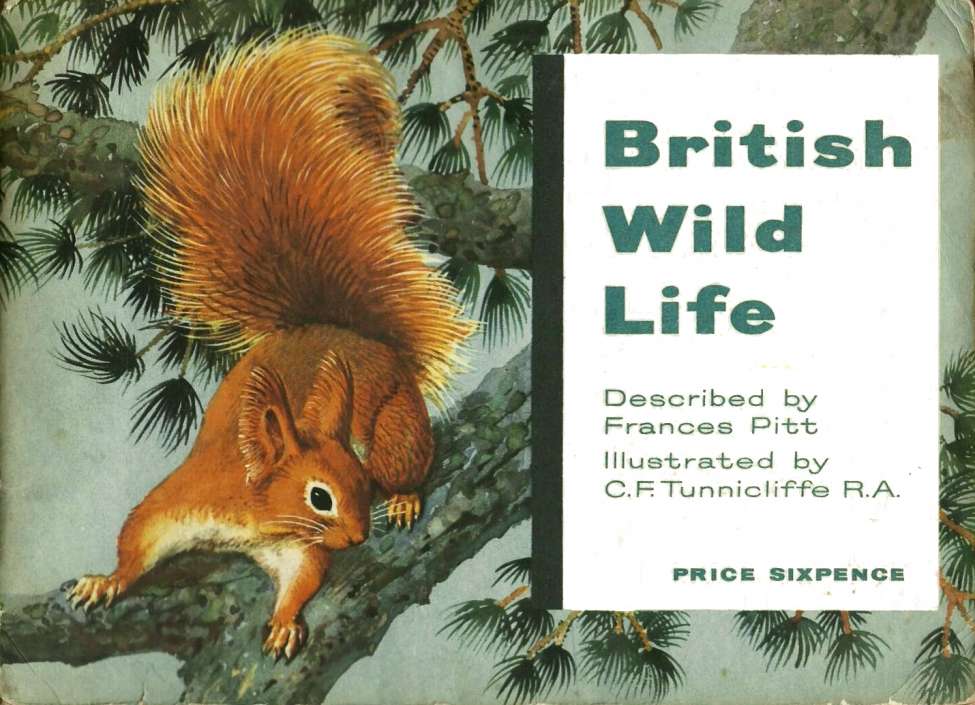 Book Cover For British Wildlife Album Tea Cards