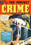 Cover For The Perfect Crime 7