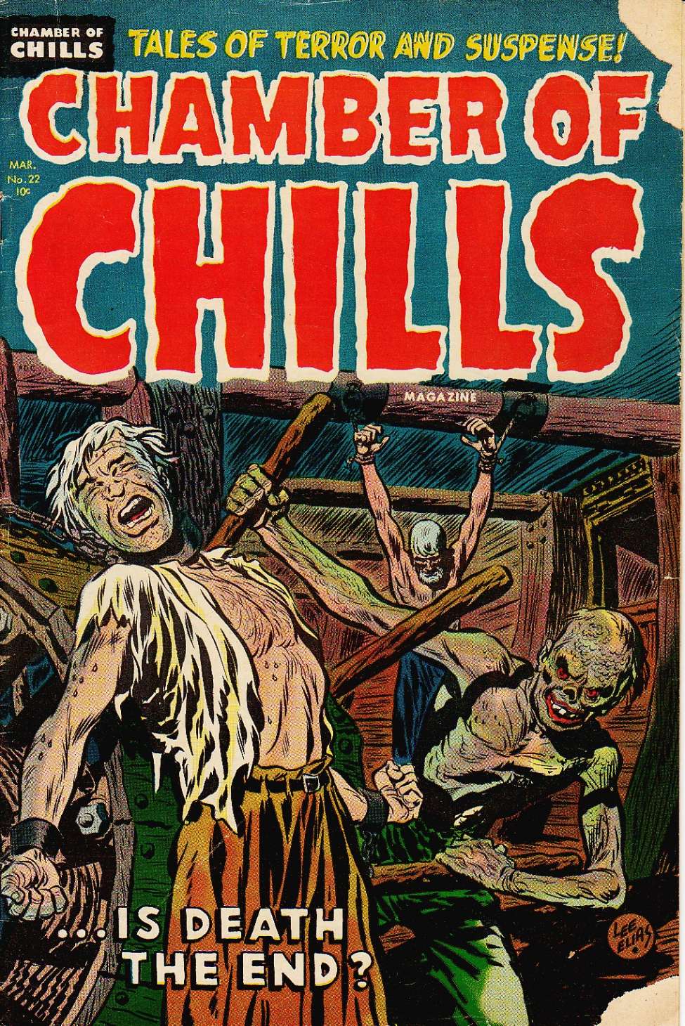 Book Cover For Chamber of Chills 22