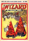 Cover For The Wizard 782