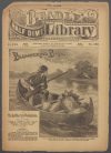 Cover For Beadle's Half Dime Library 562 - Blundering Basil, the Hermit Boy Trapper