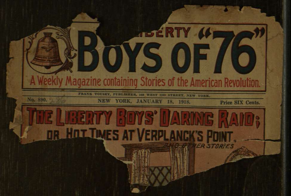 Book Cover For The Liberty Boys of 76 890 - The Liberty Boys' Daring Raid