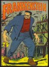 Cover For Frankenstein 19