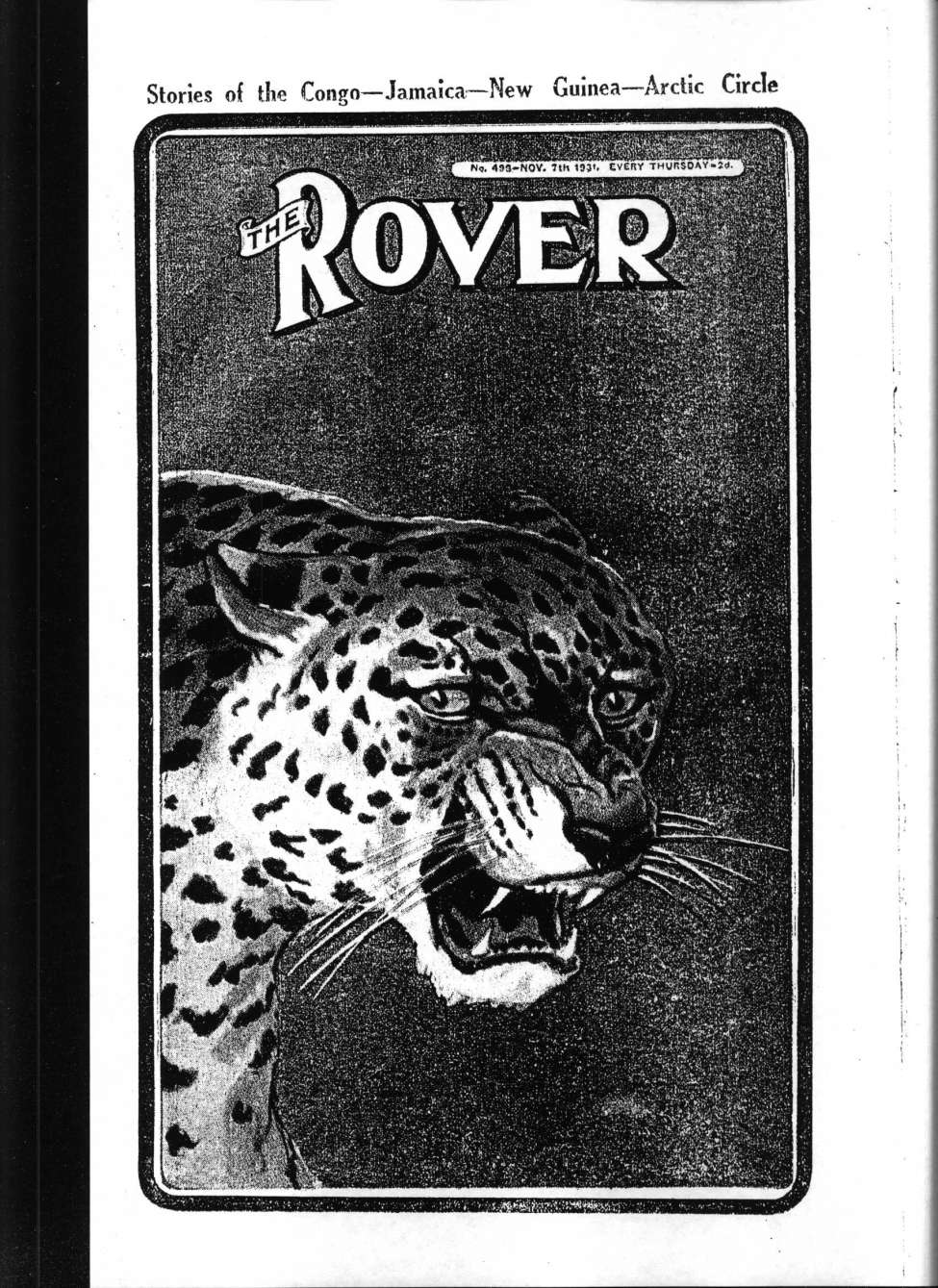 Book Cover For The Rover 499