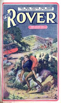 Large Thumbnail For The Rover 19