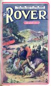 Cover For The Rover 19