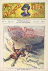 Cover For Deadwood Dick Library v2 30 - Deadwood Dick's Double