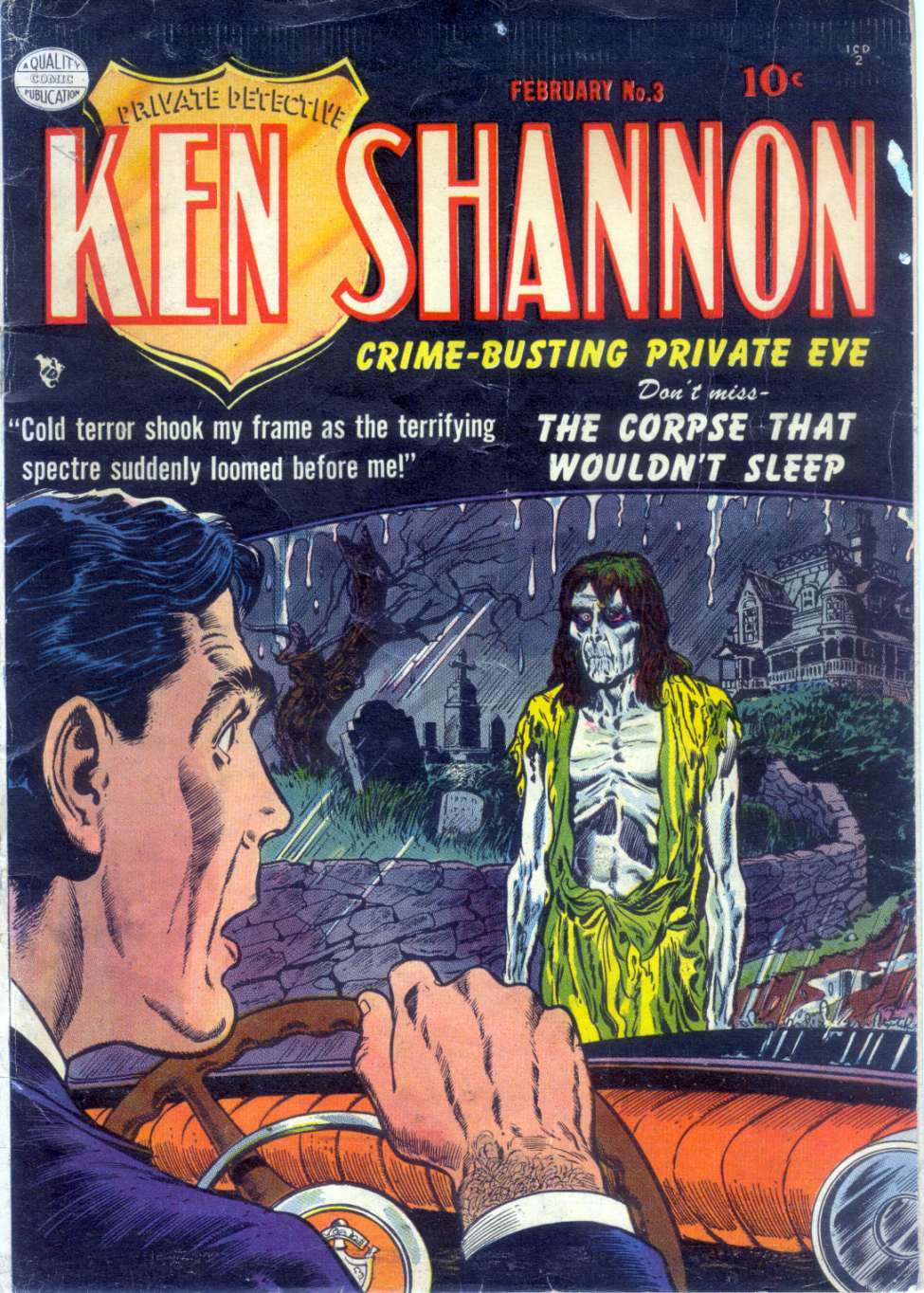 Book Cover For Ken Shannon 3