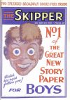 Cover For The Skipper 1