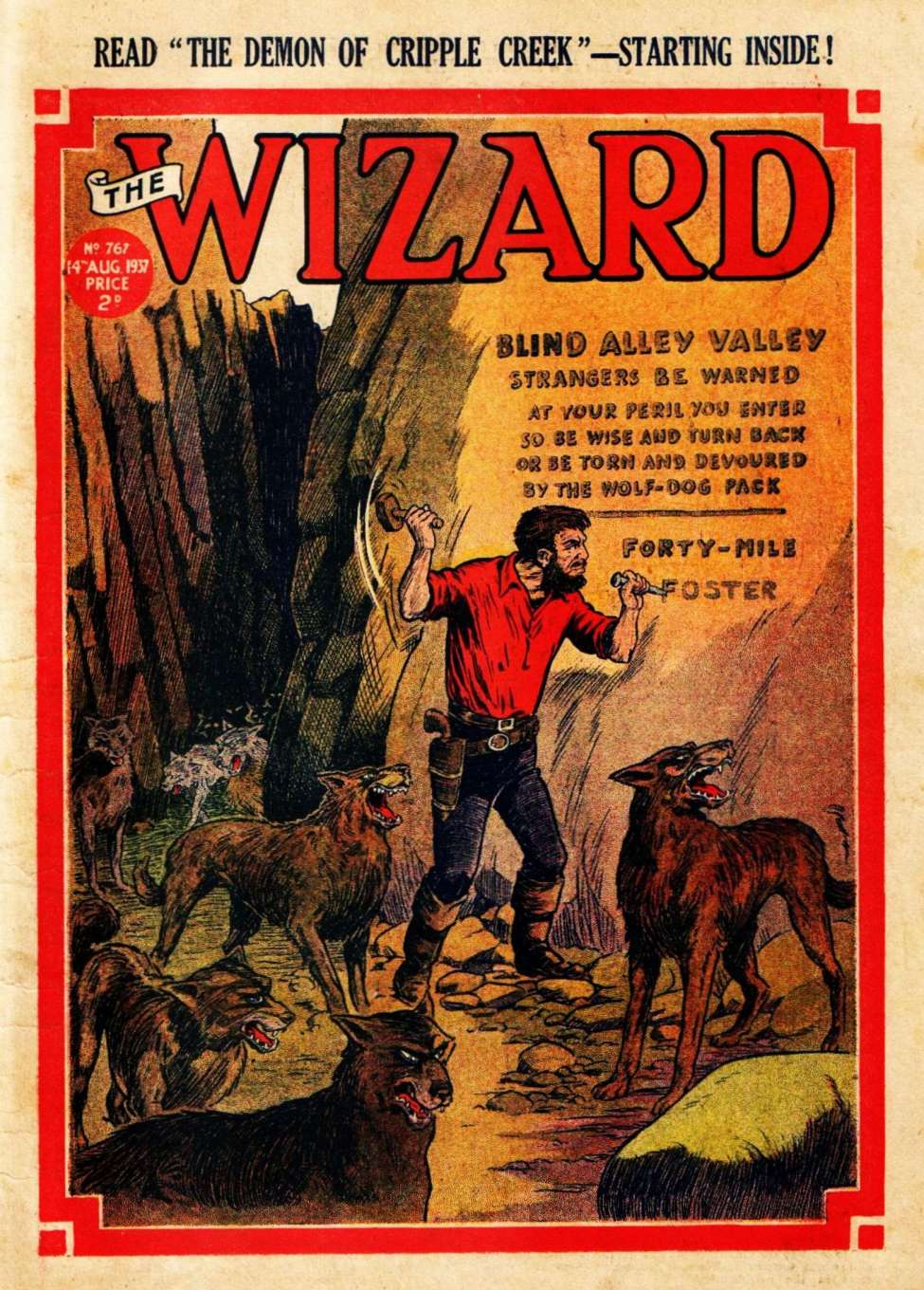 Book Cover For The Wizard 767