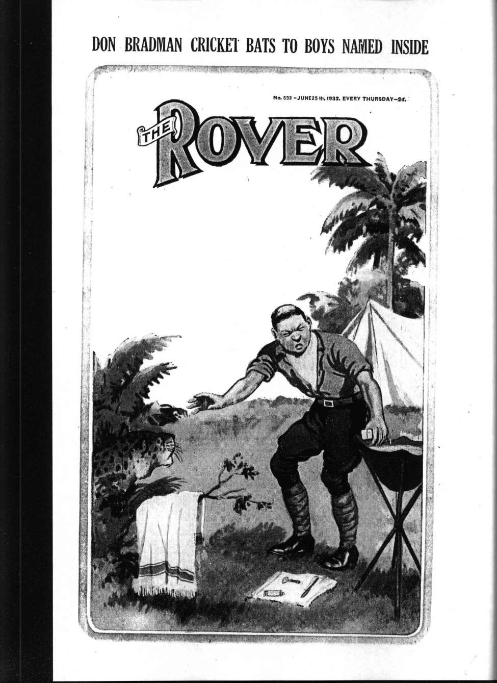 Book Cover For The Rover 532