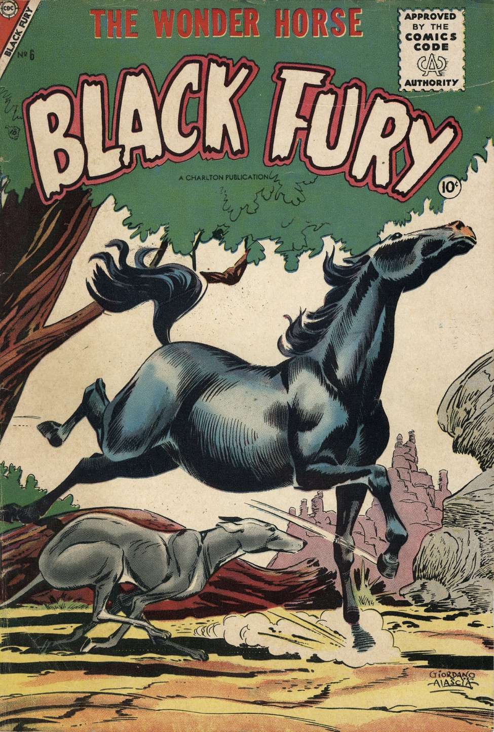 Book Cover For Black Fury 6
