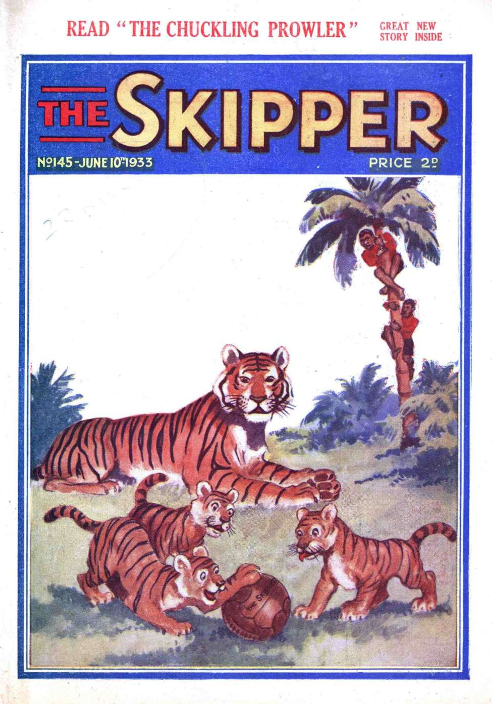 Book Cover For The Skipper 145