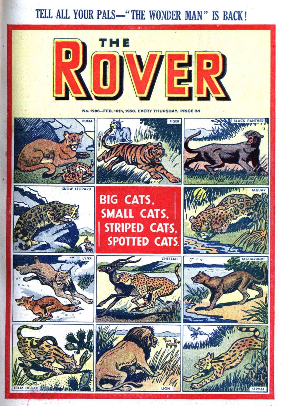 Book Cover For The Rover 1286