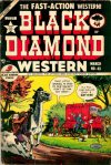 Cover For Black Diamond Western 43
