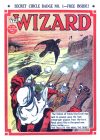 Cover For The Wizard 794