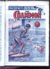 Cover For The Champion 1400