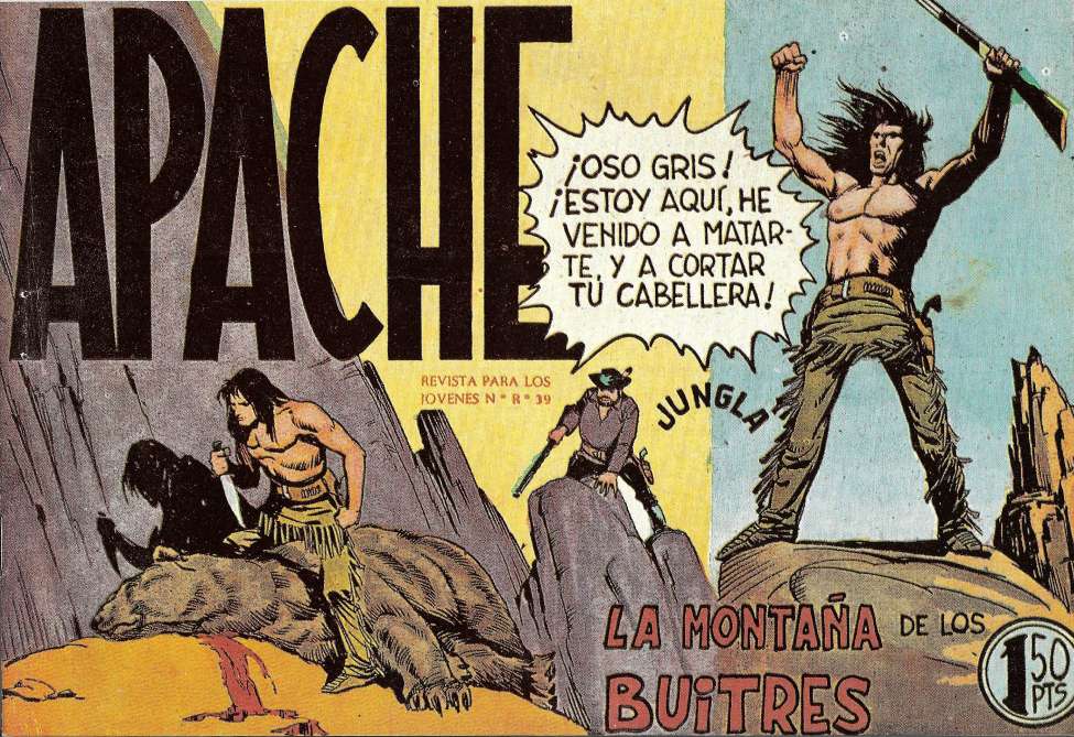 Book Cover For Apache 16 - La Montaña De Los Buitres