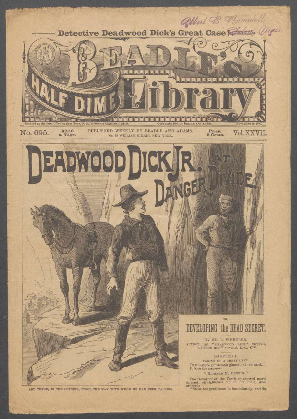 Book Cover For Beadle's Half Dime Library 695 - Deadwood Dick Jr. at Danger Divide