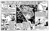Large Thumbnail For This Curious World 1937