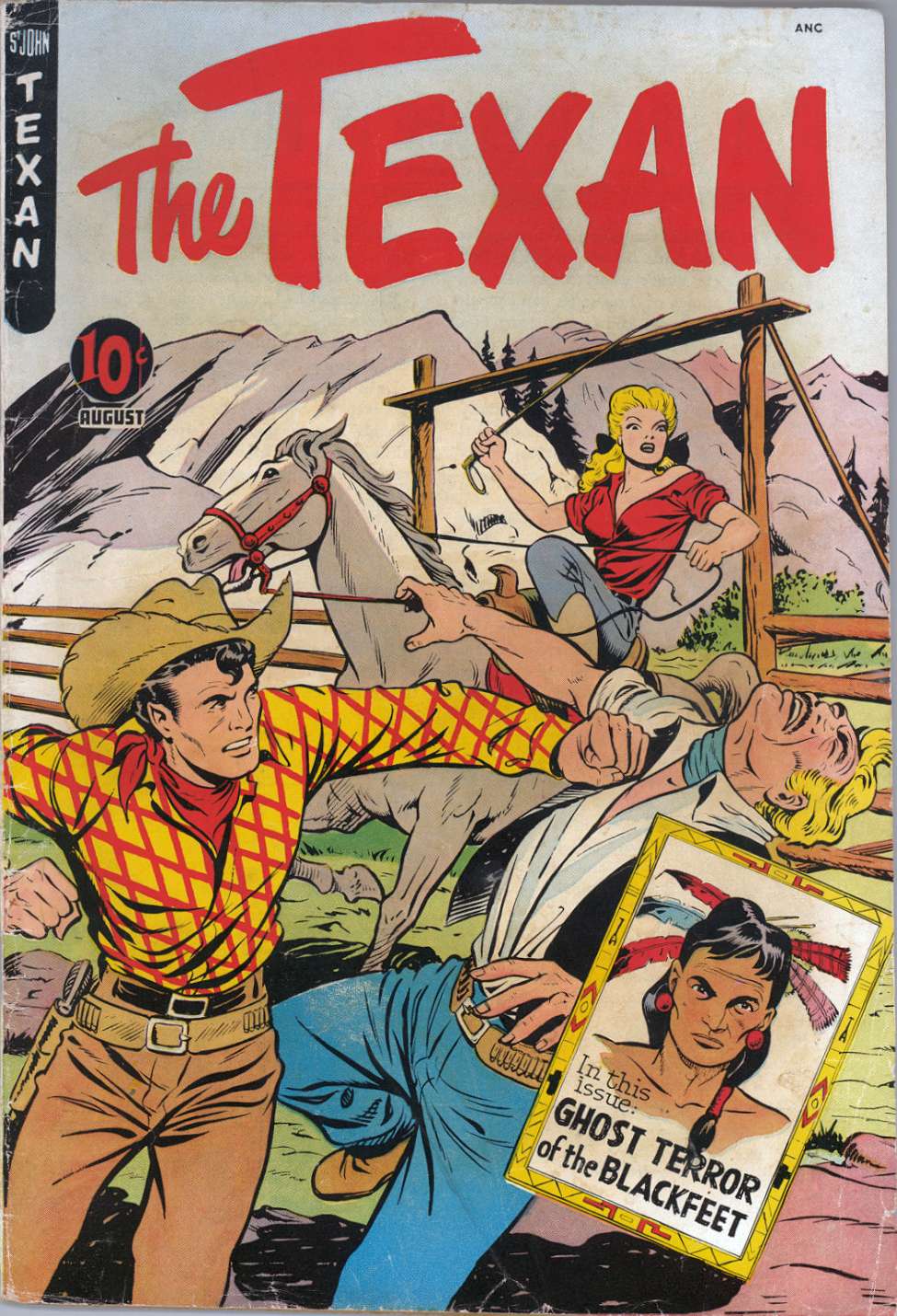 Book Cover For The Texan 9