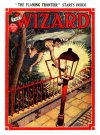 Cover For The Wizard 752