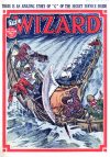 Cover For The Wizard 791