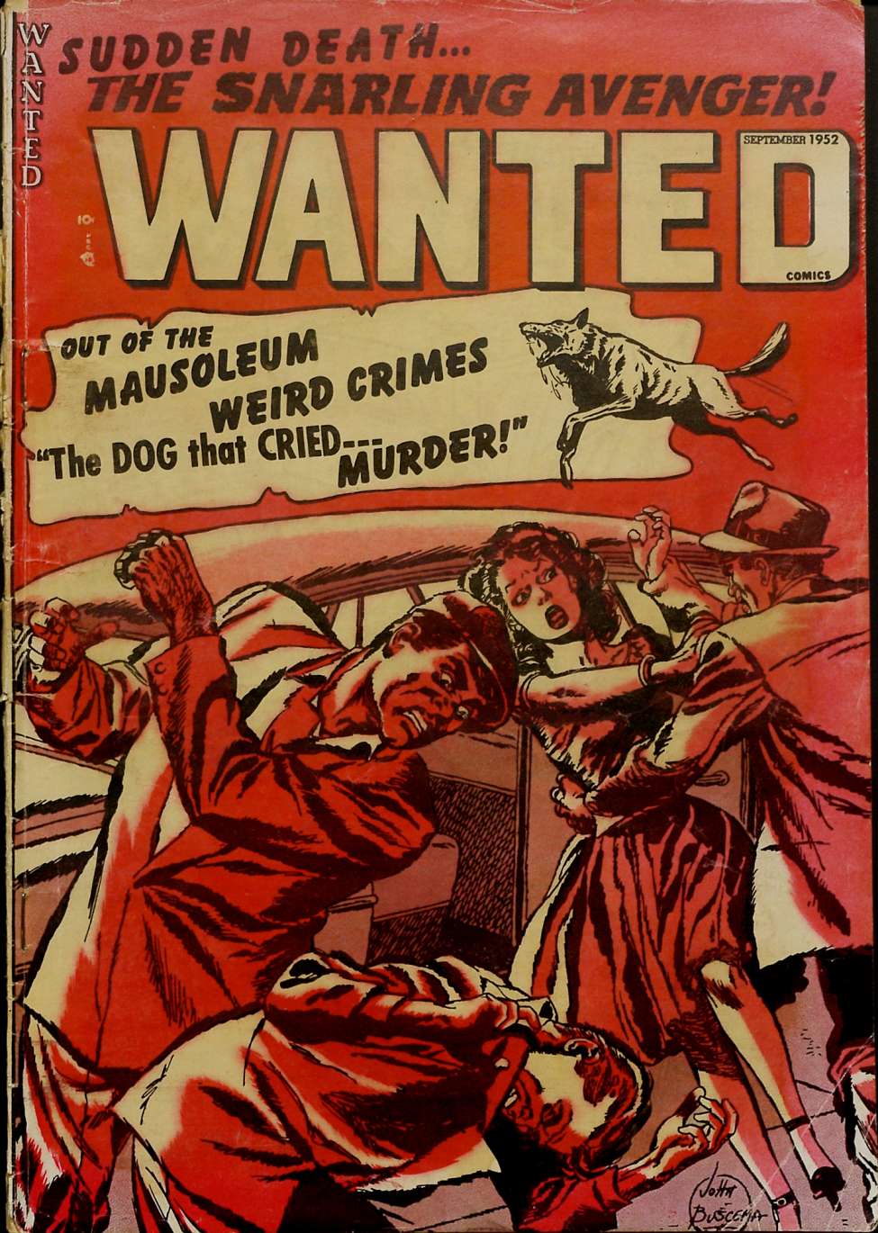 Comic Book Cover For Wanted Comics 49