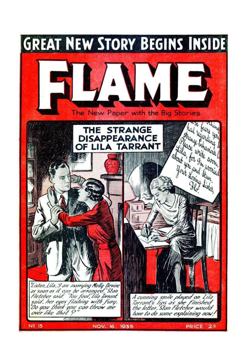 Book Cover For Flame 13