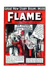 Cover For Flame 13